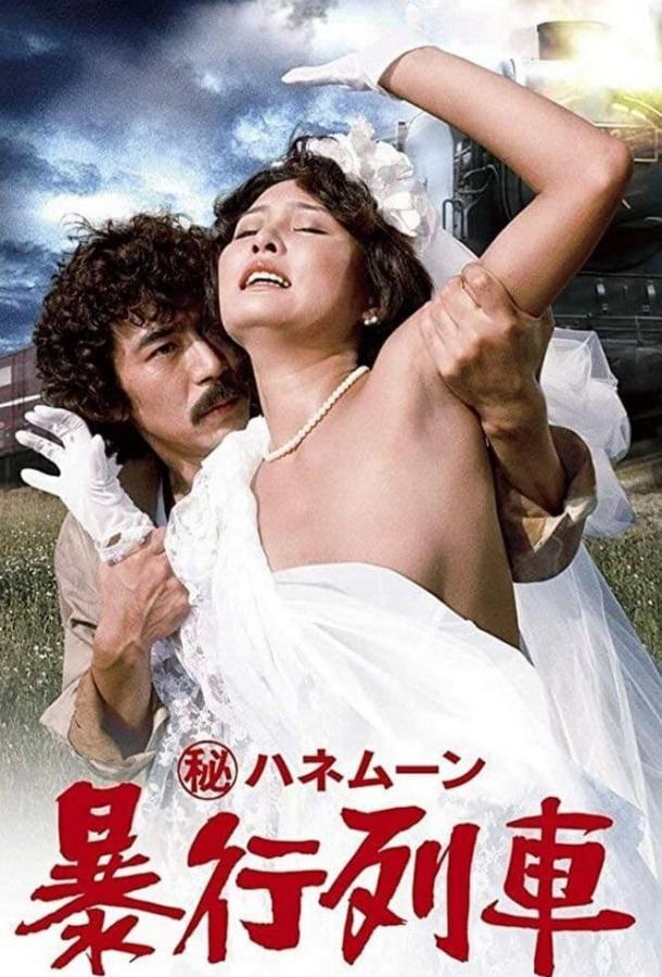 Тайный медовый месяц: Поезд изнасилований